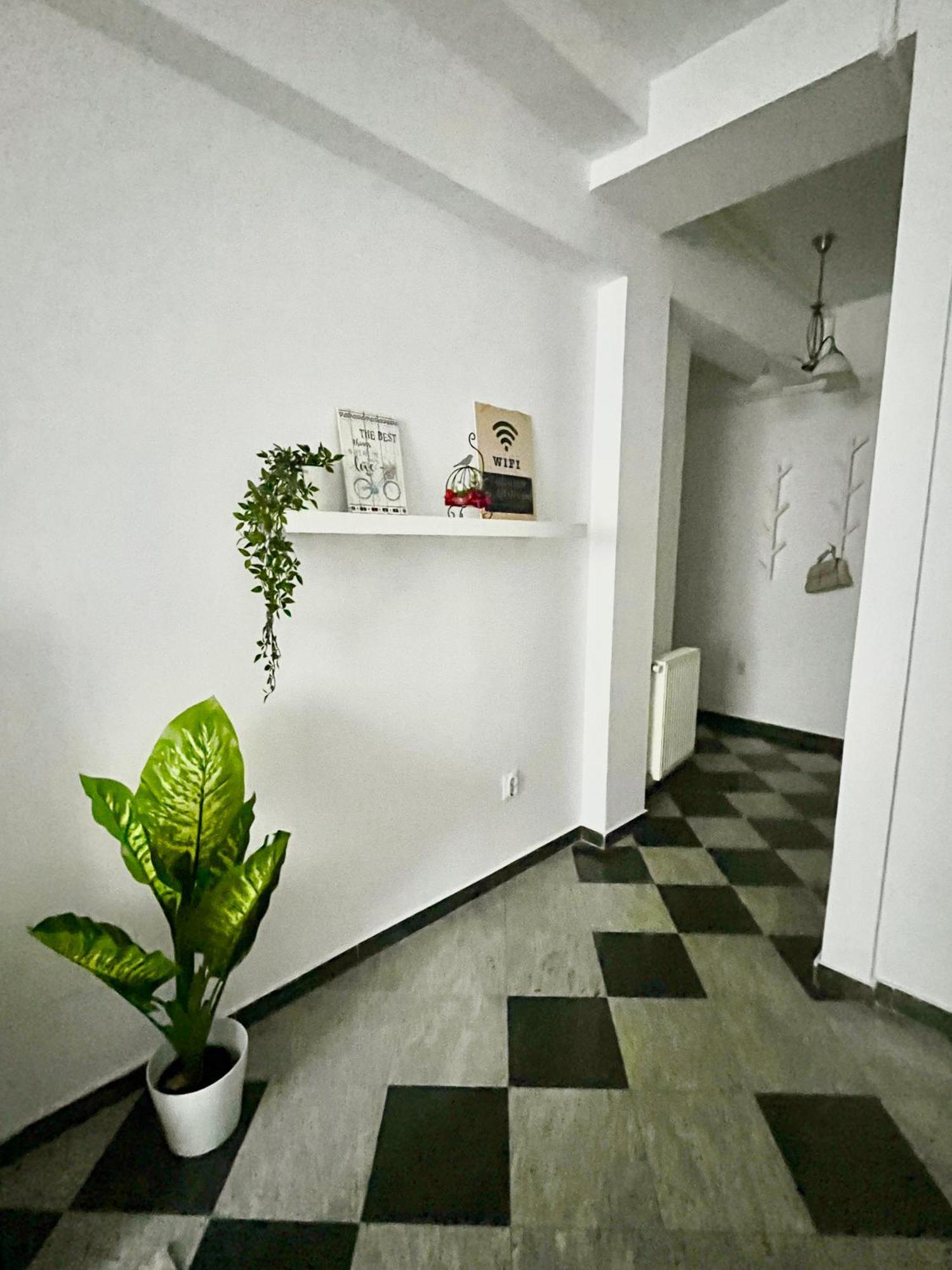 Victoriei Spacious Studio Βουκουρέστι Εξωτερικό φωτογραφία