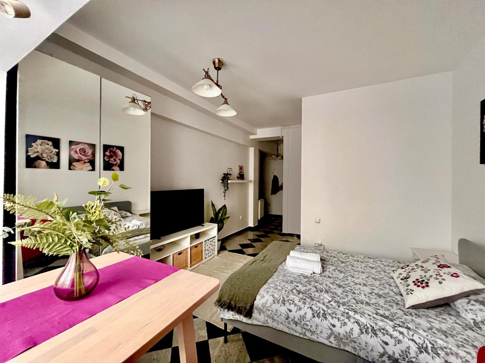 Victoriei Spacious Studio Βουκουρέστι Εξωτερικό φωτογραφία